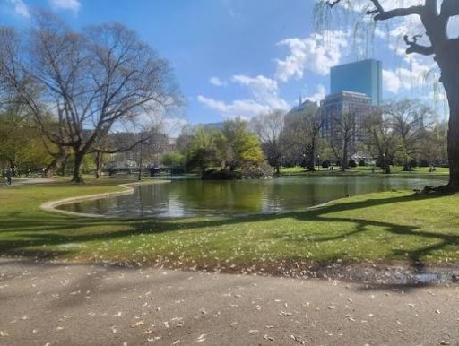 Boston Public Garden