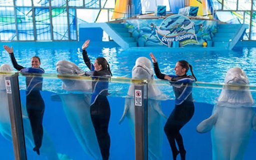 SeaWorld San Antonio