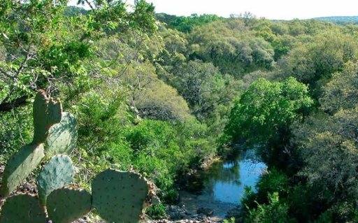 Government Canyon State Natural Area
