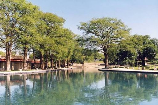 San Pedro Springs Park